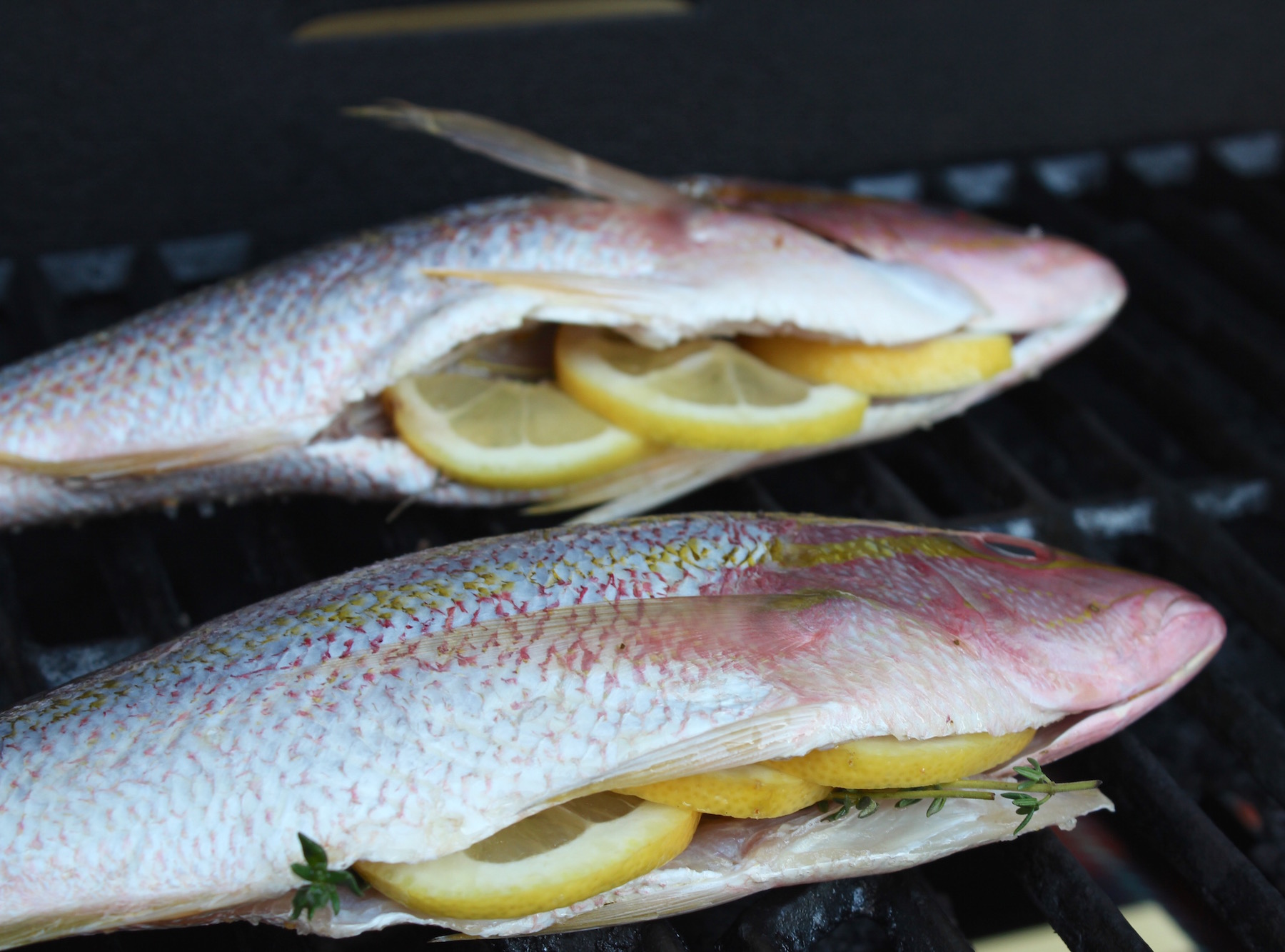 yellowtail snapper whole on grill