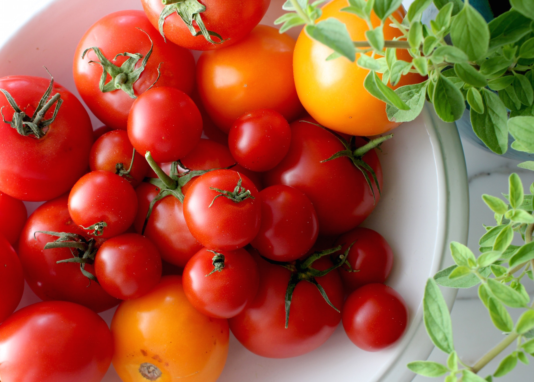 Whole tomatoes in bowl