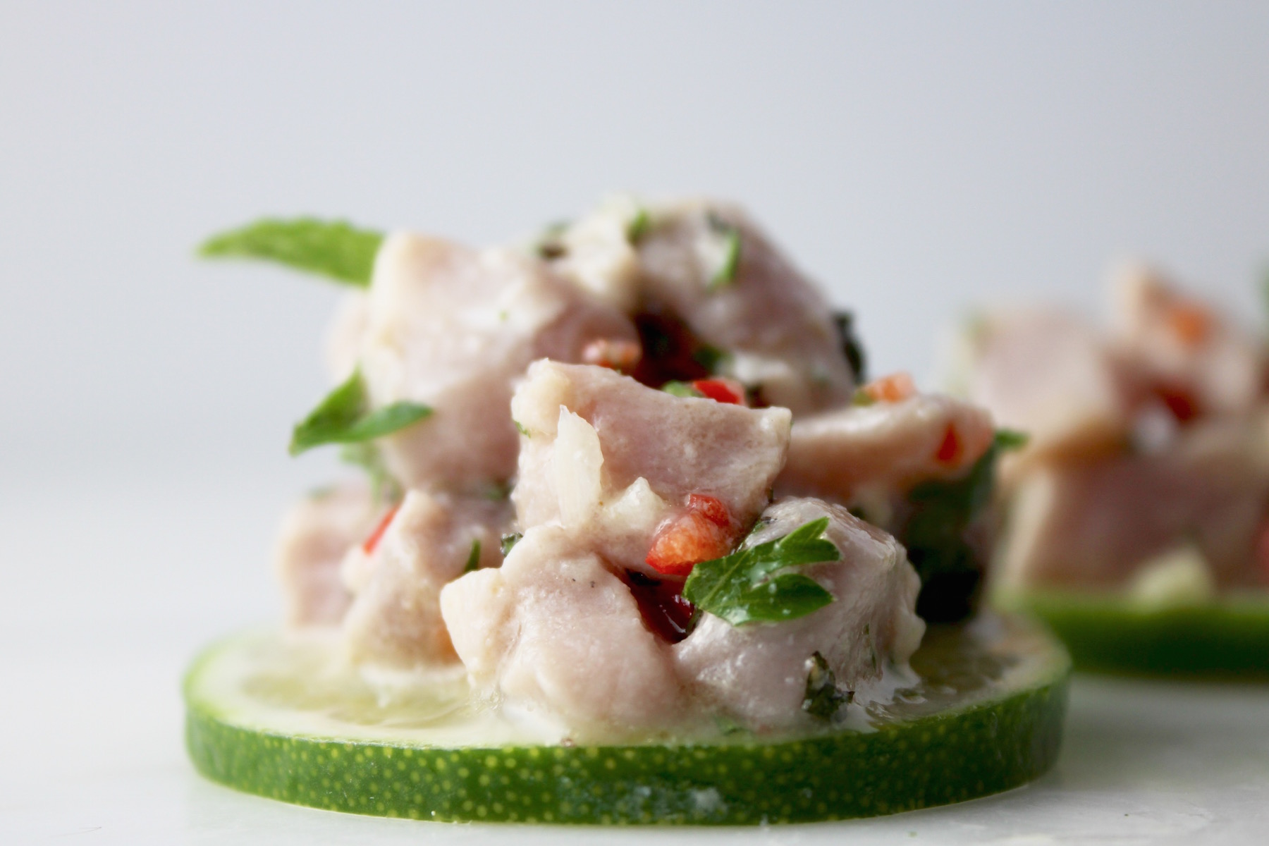 tuna ceviche with lime