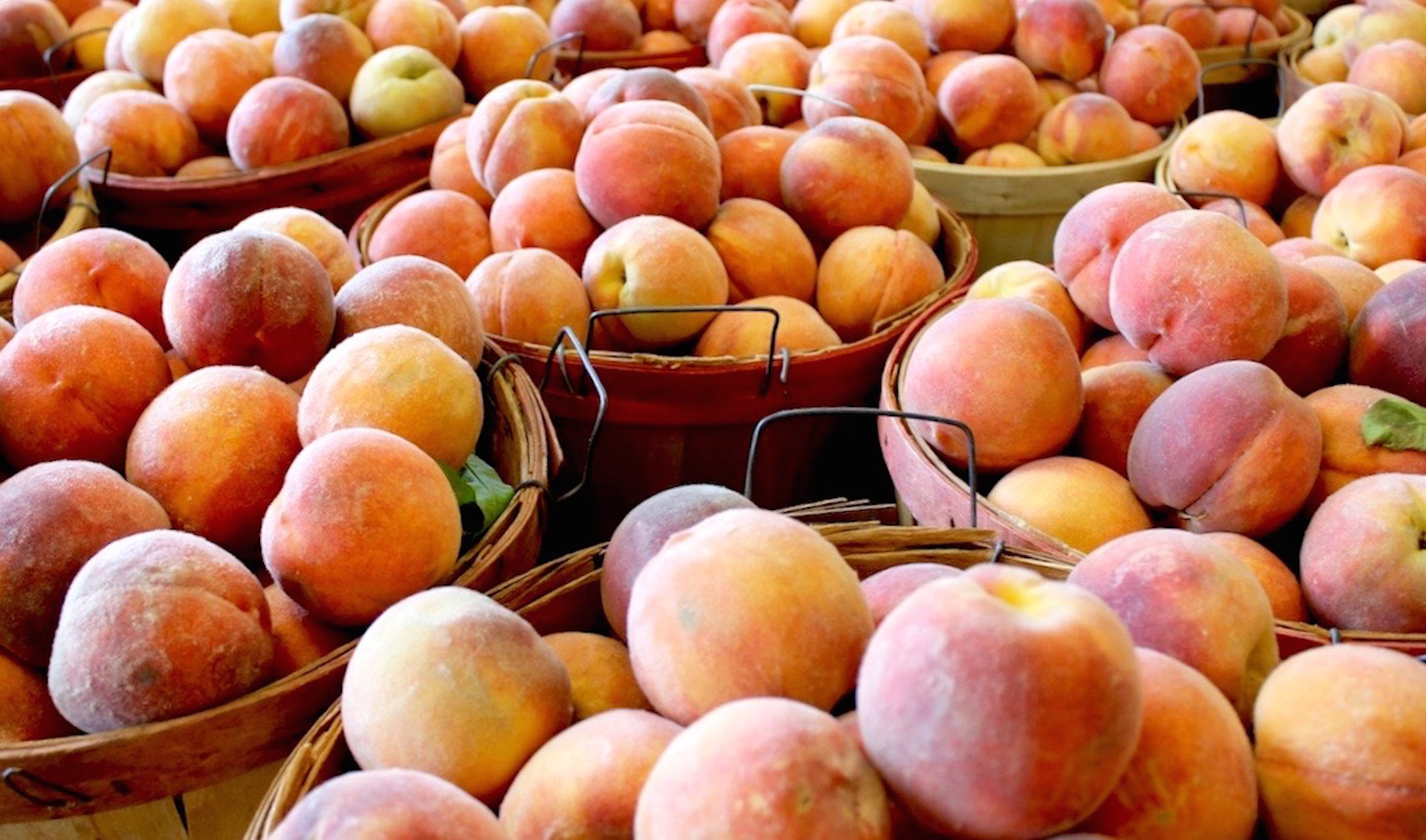 peaches in basket