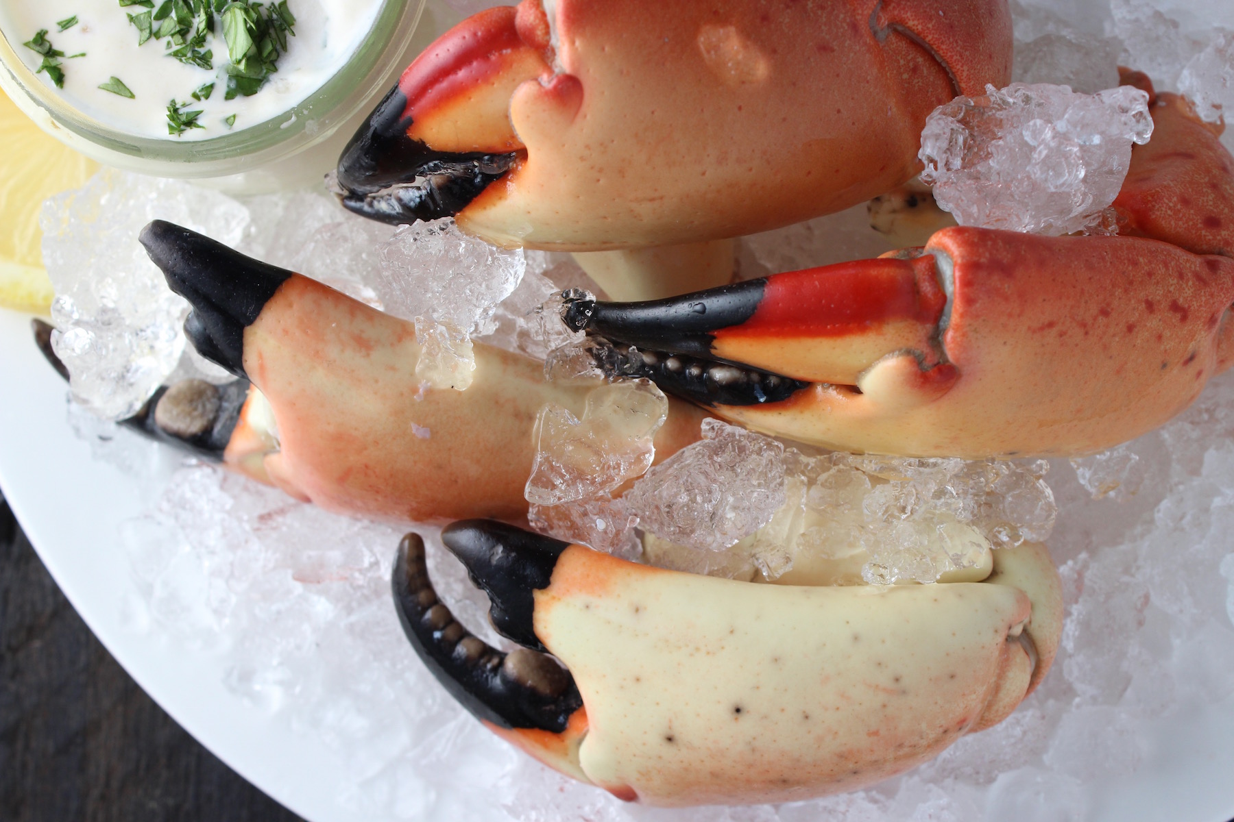 It's Stone Crab Season! My Delicious Blog