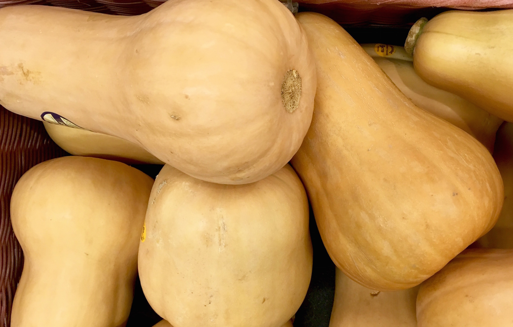 Butternut Squash