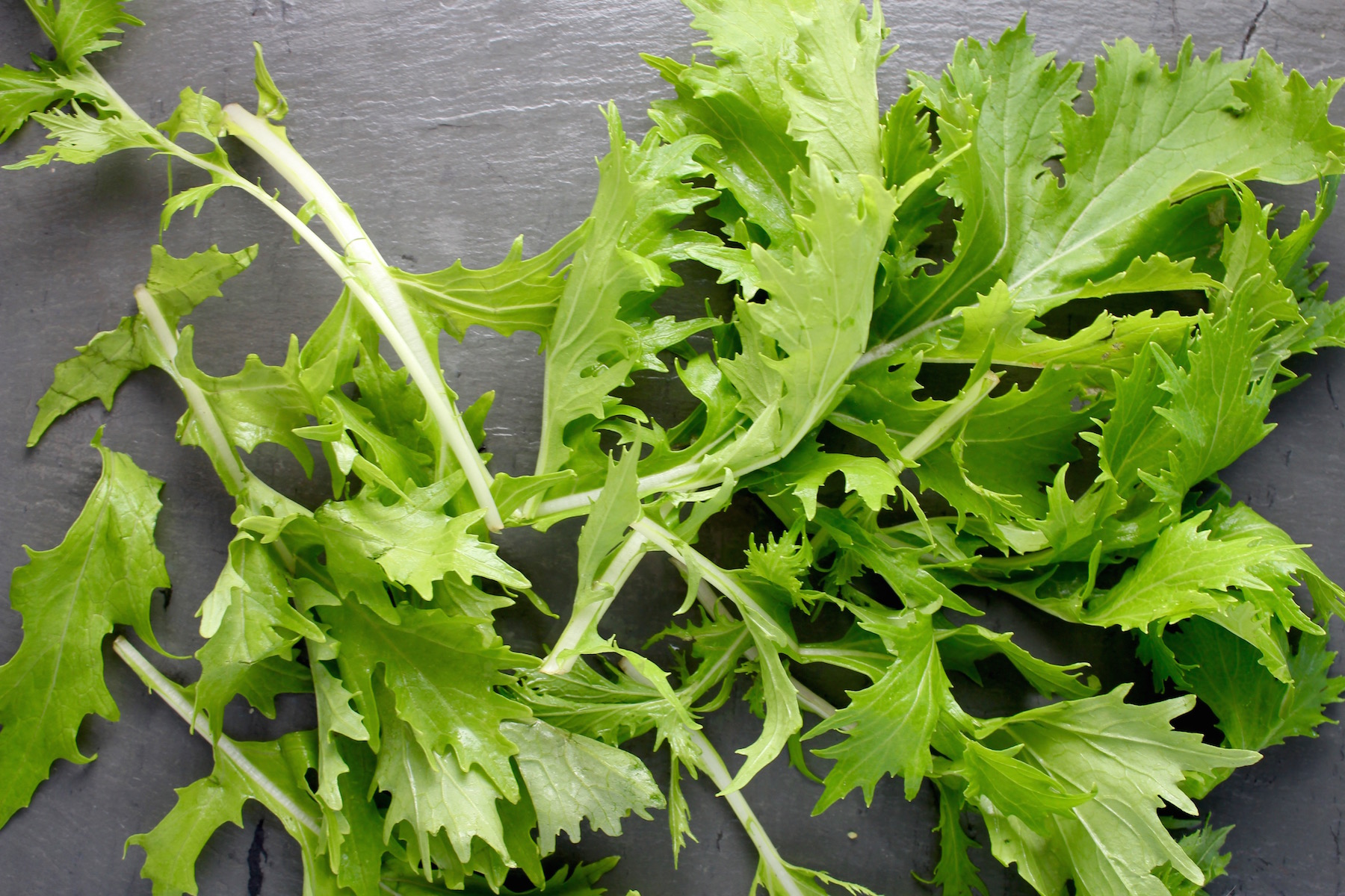 Mizuna Mustard Greens