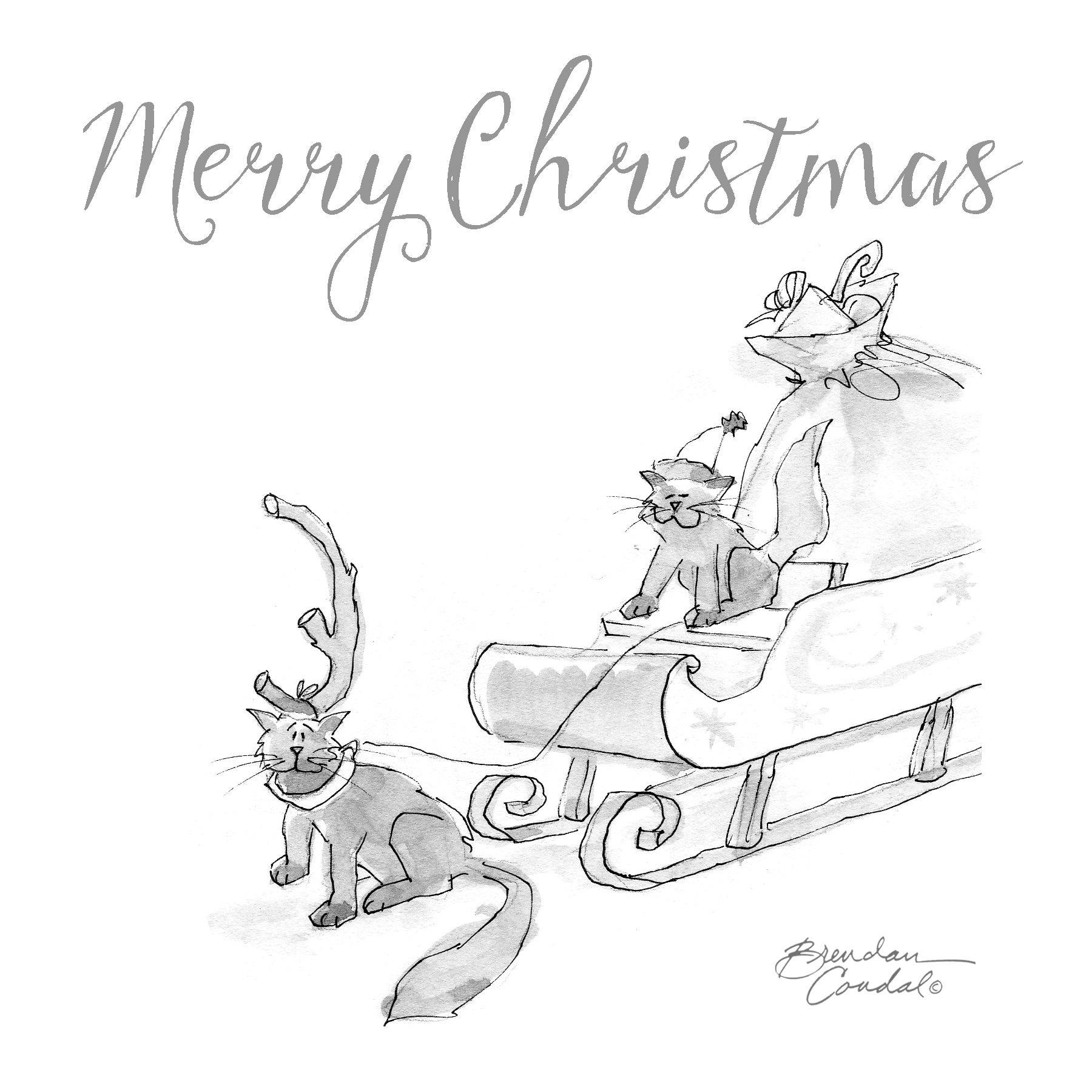 christmas cats