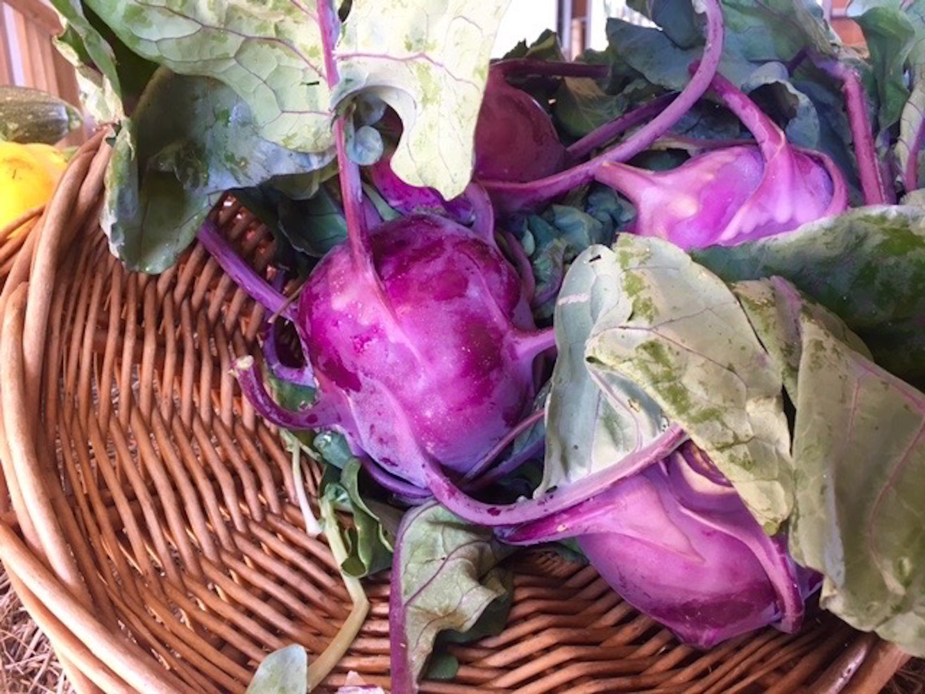 Purple Kohlrabi in Basket