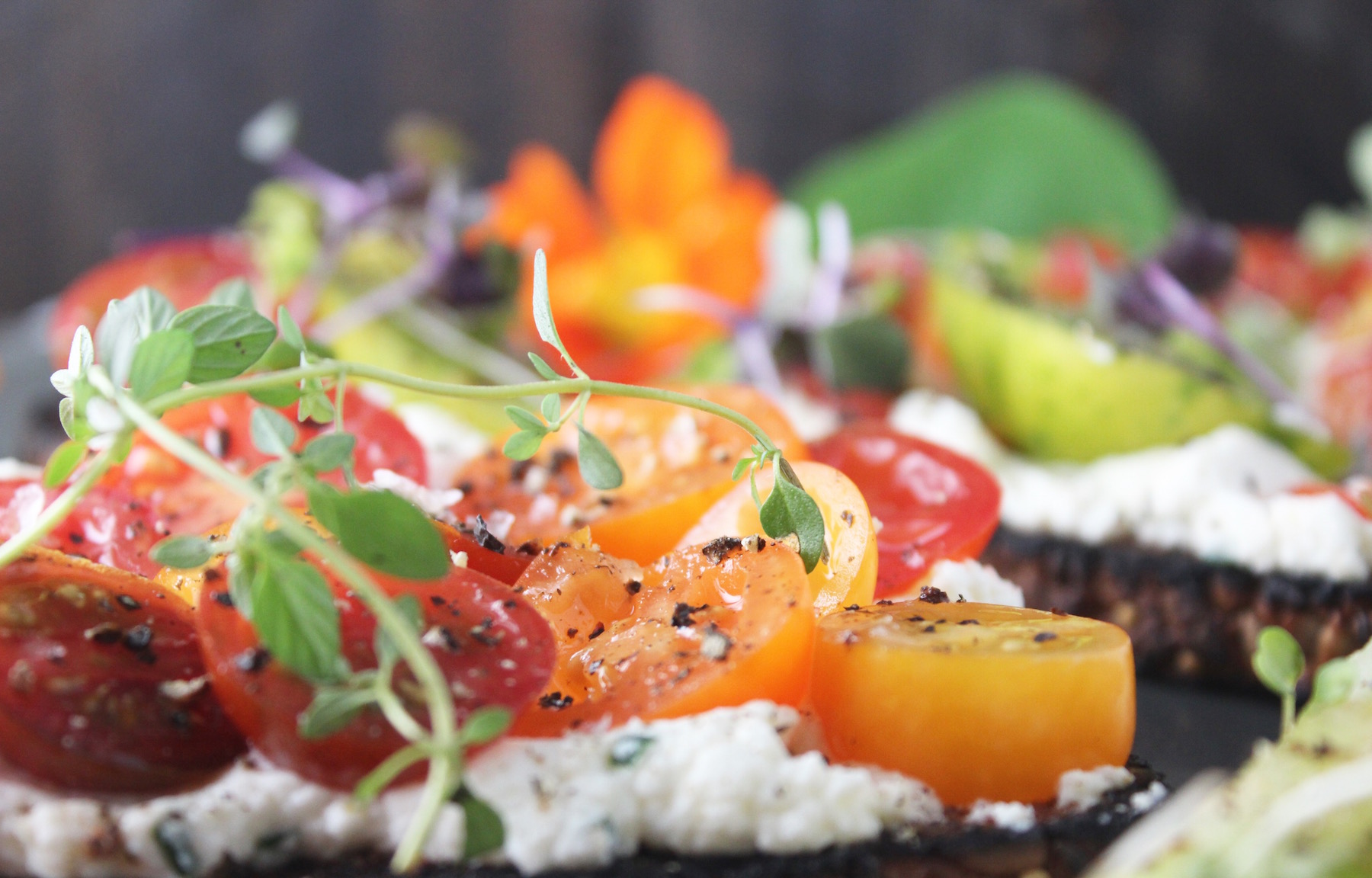 Tomato Tartine Close Up