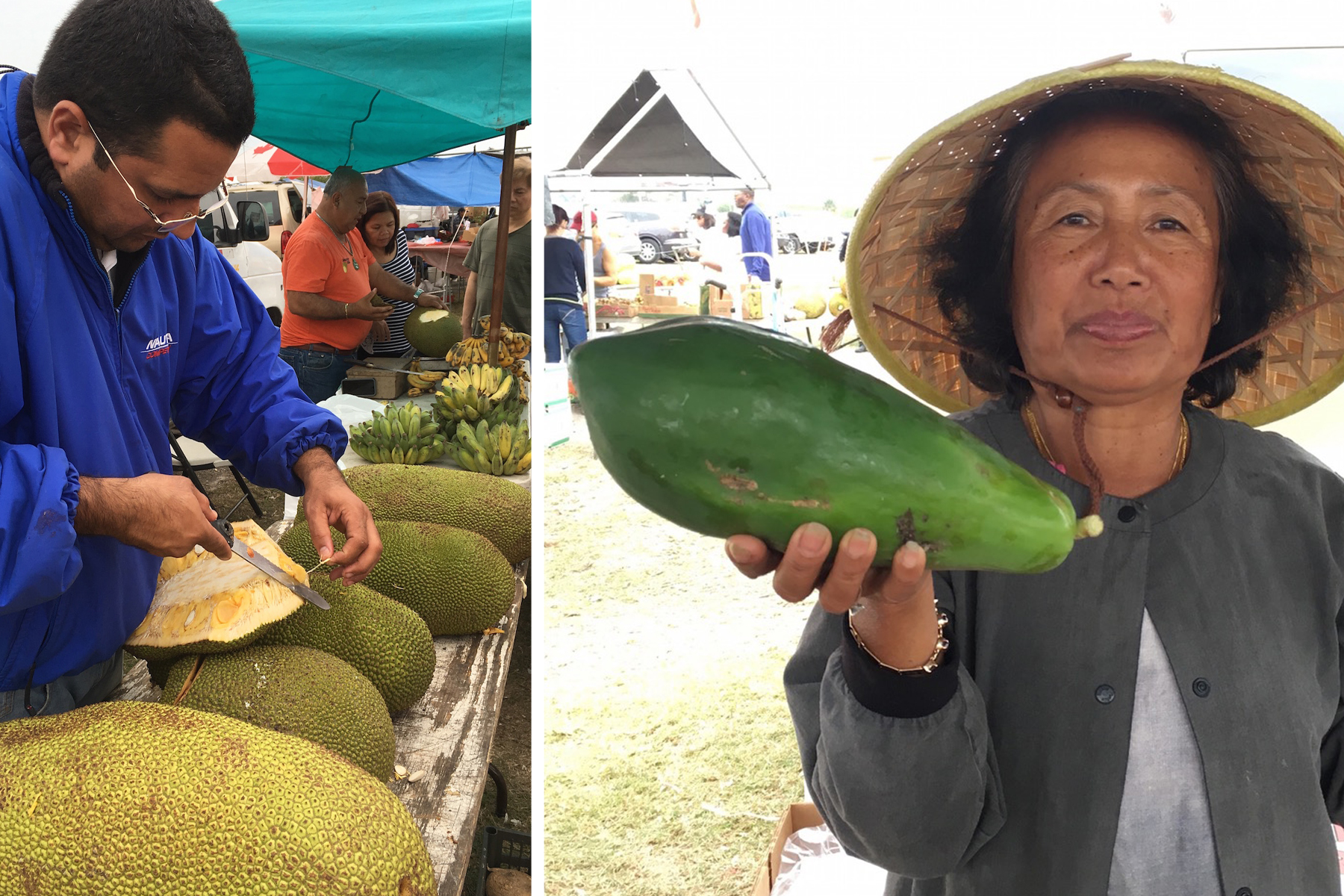 Mustang Market Jackfruit