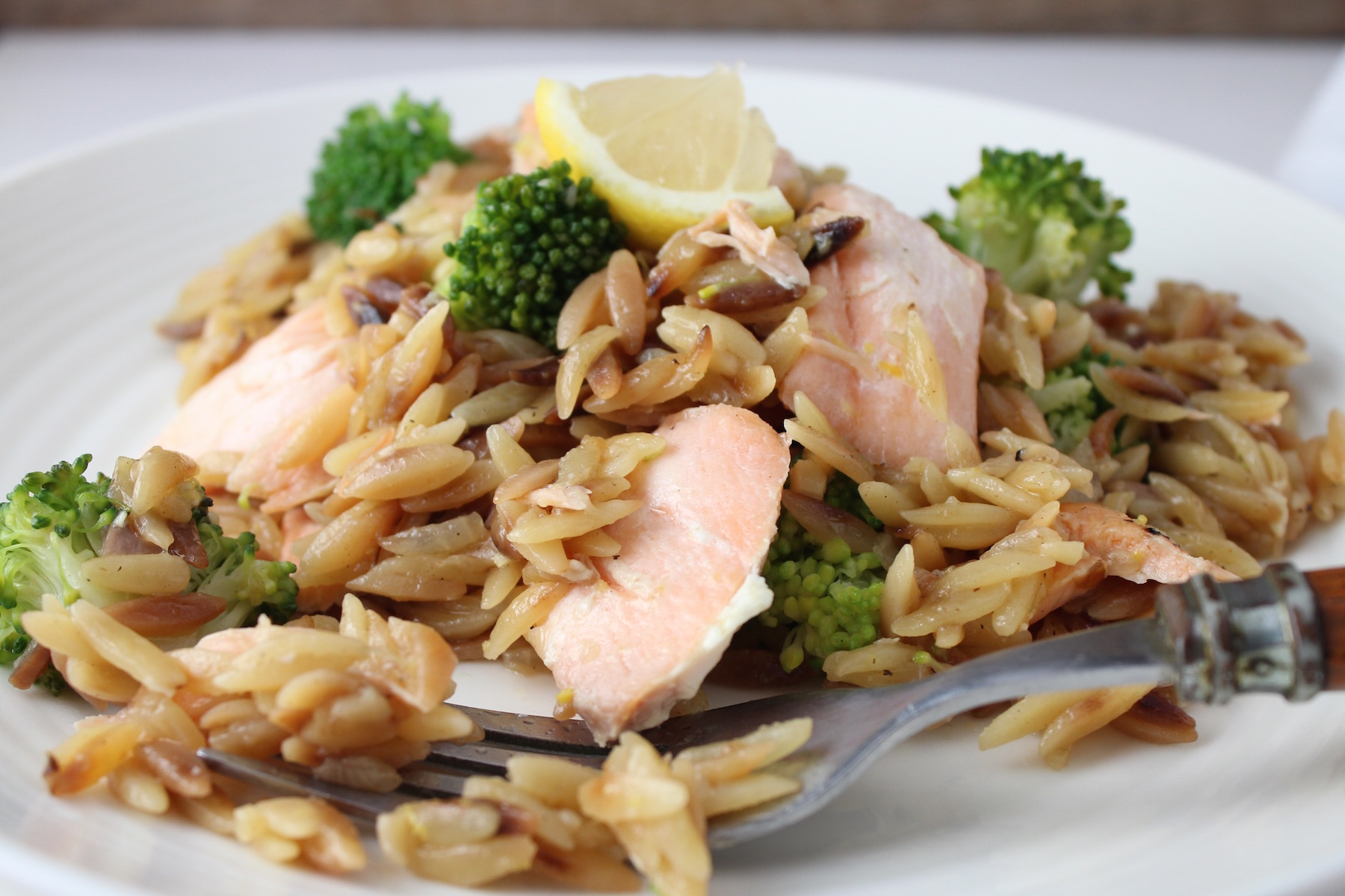 orzo risotto with salmon