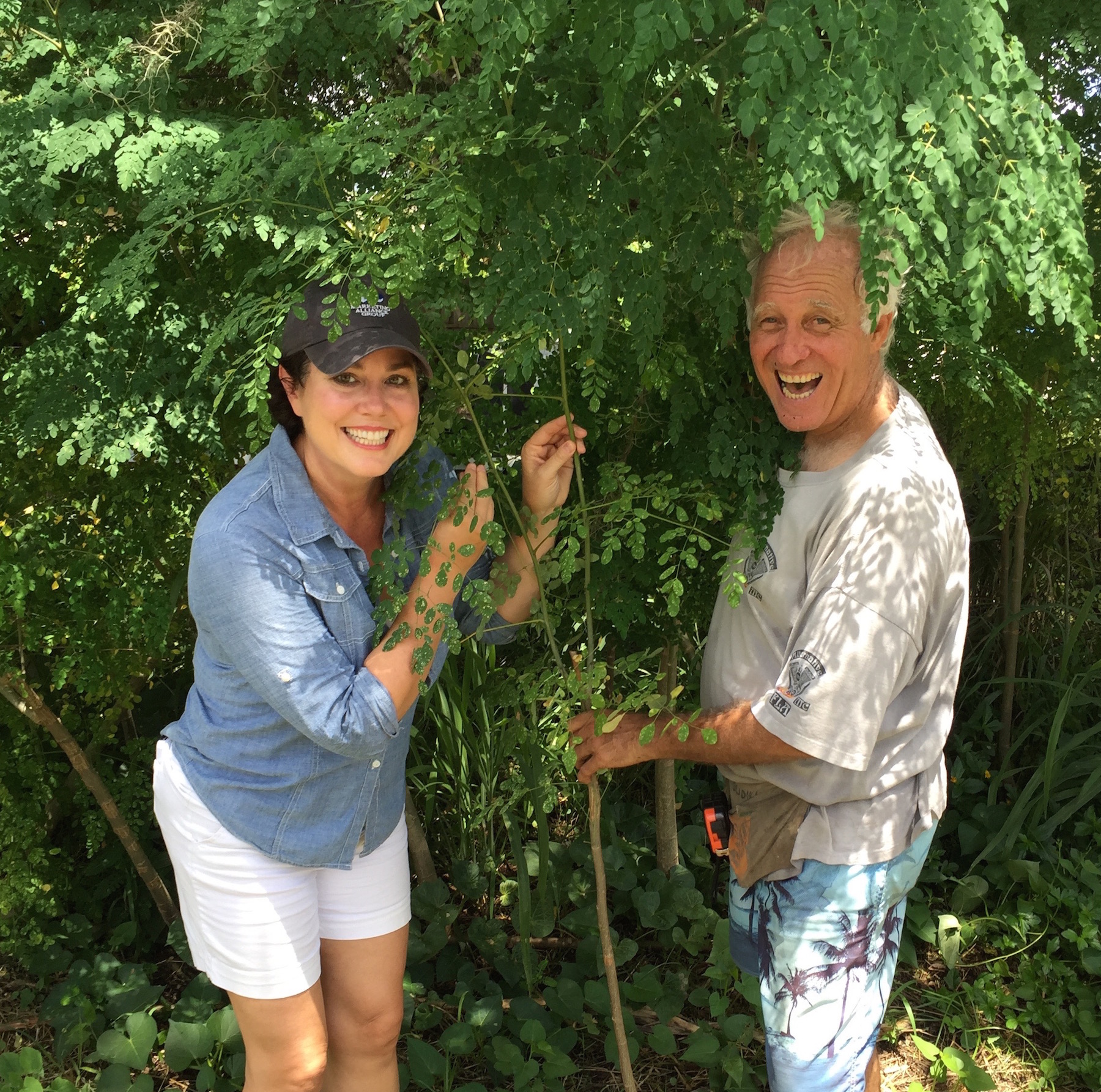 moringa farm