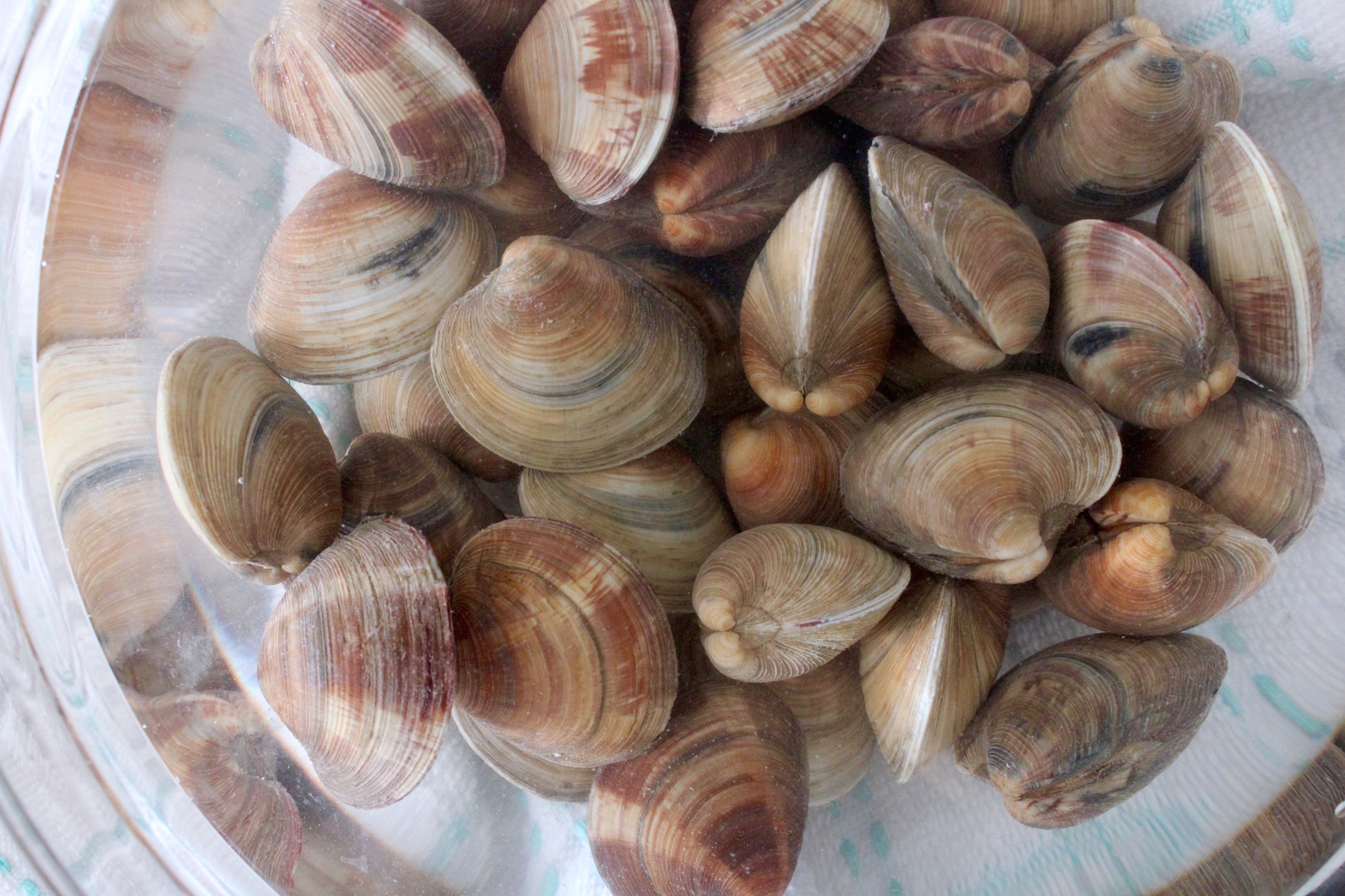 Littleneck clams in liquid