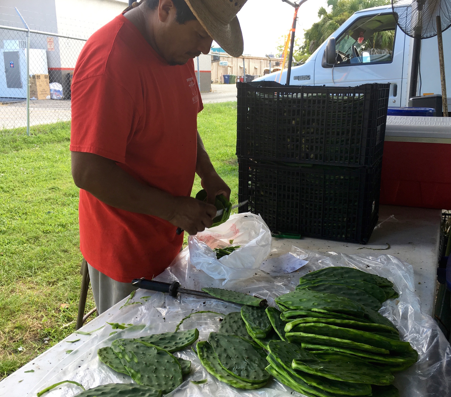 Prepping Cactus Paddles