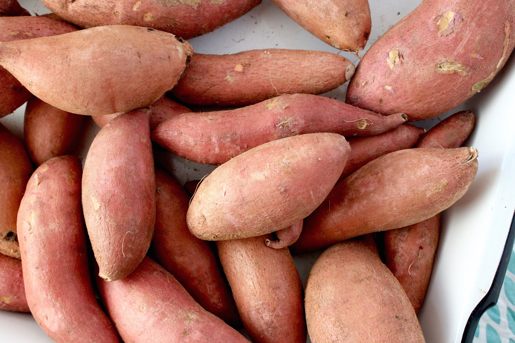 Sweet Potatoes from Garden