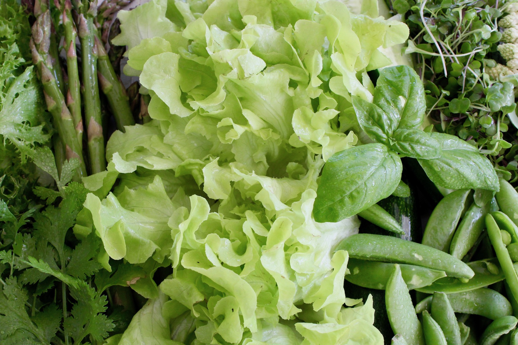 Creamy Micro Chopped Salad