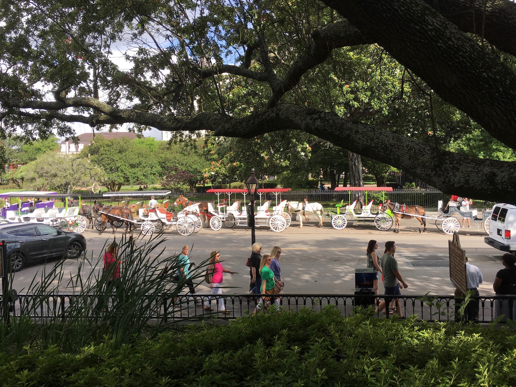 New Orleans carriages