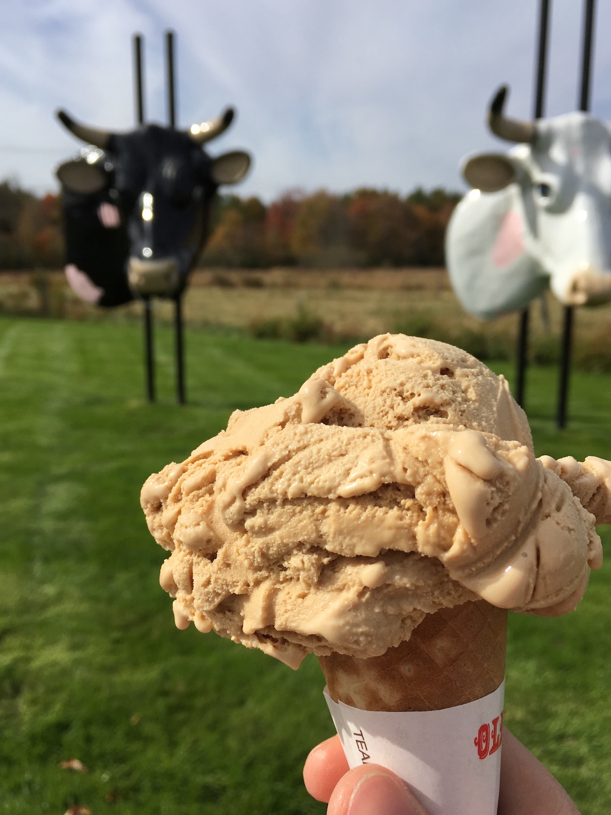 coffee ice cream peaceful meadows